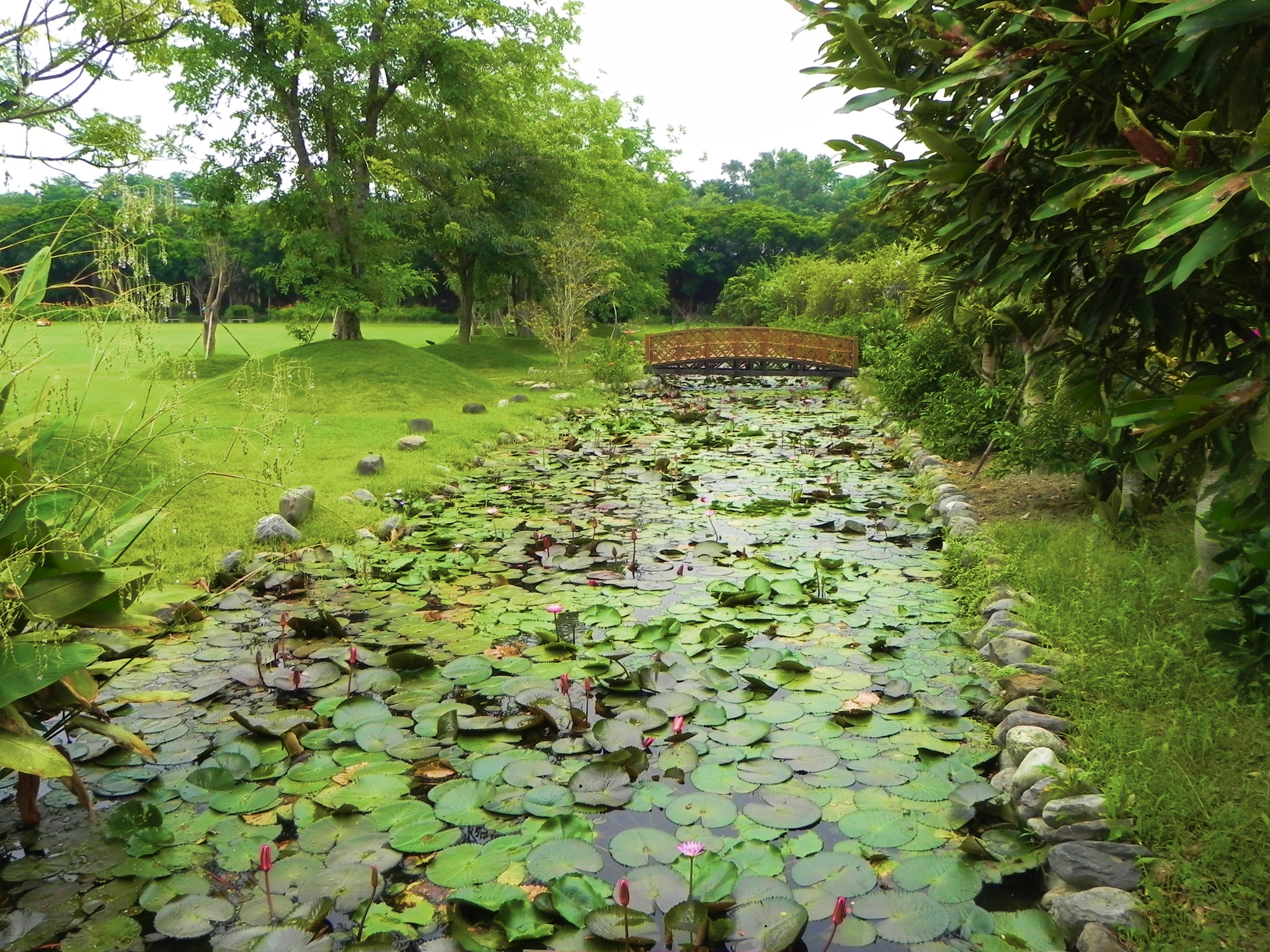 南元花园休闲农场