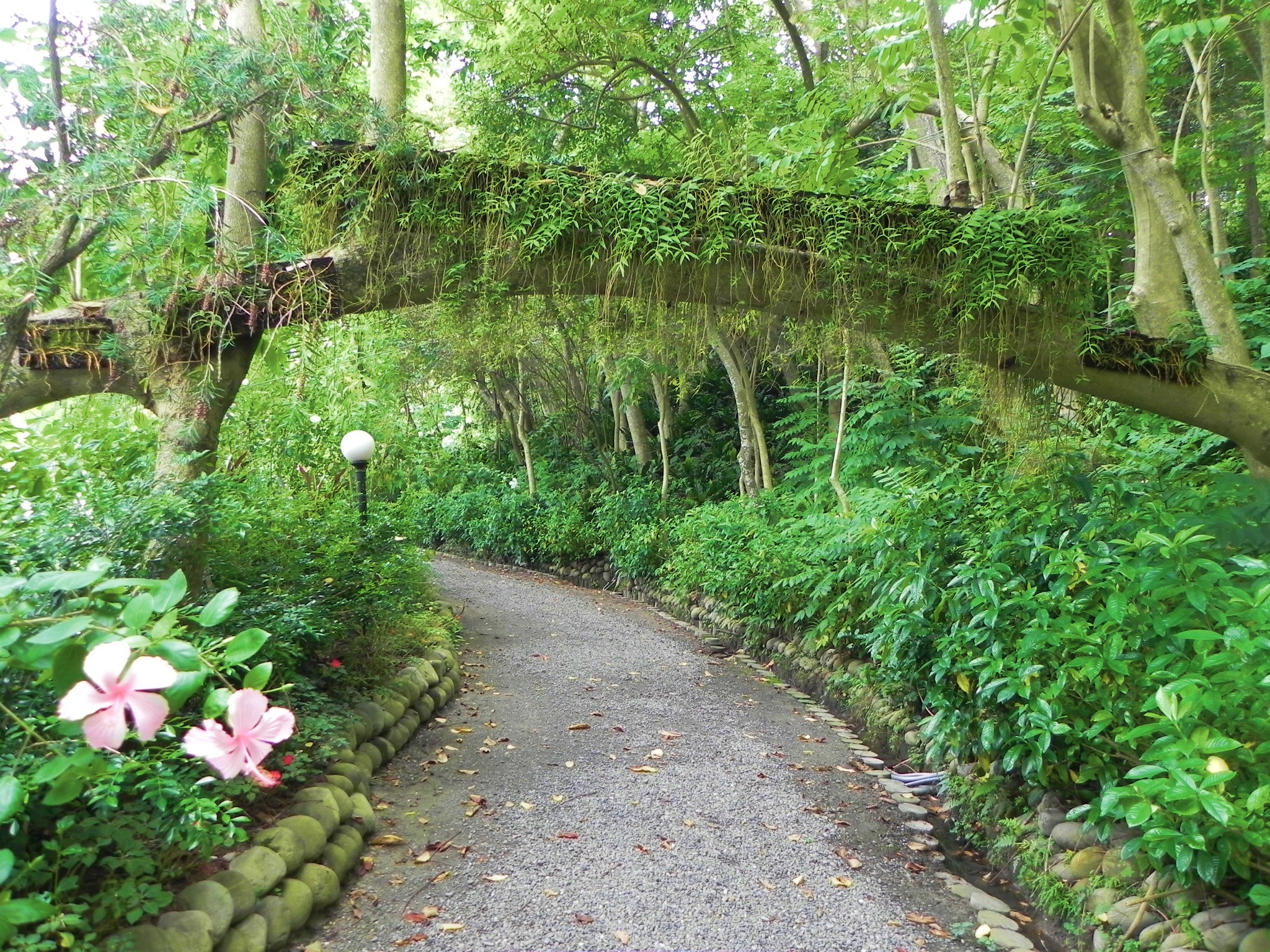 南元花园休闲农场